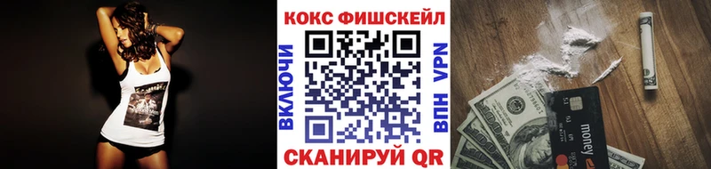 закладка  Судак  КОКАИН Fish Scale 