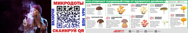 купить   Судак  Псилоцибиновые грибы мицелий 